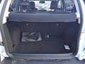 Ford EcoSport 1.0 Ecoboost 125cv S&S Active Wit - thumbnail 11