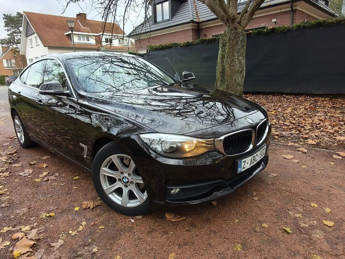BMW 318 Gran Turismo 318d 143 ch Sport A Bronze - 2