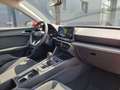 SEAT Leon 1.0 TSI Reference Alu18'' LED Garantieverl. PDC hi Rot - thumbnail 8