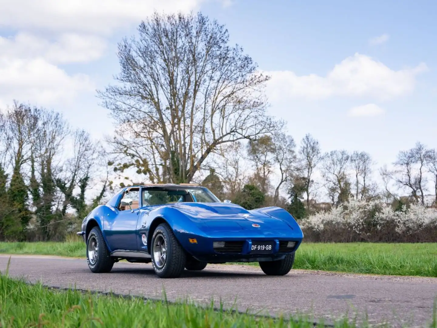 Chevrolet Corvette Stingray V8 5.7 - 2