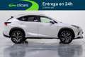 Lexus NX 300h Premium 2WD Blanco - thumbnail 7