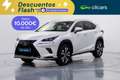 Lexus NX 300h Premium 2WD Blanco - thumbnail 1