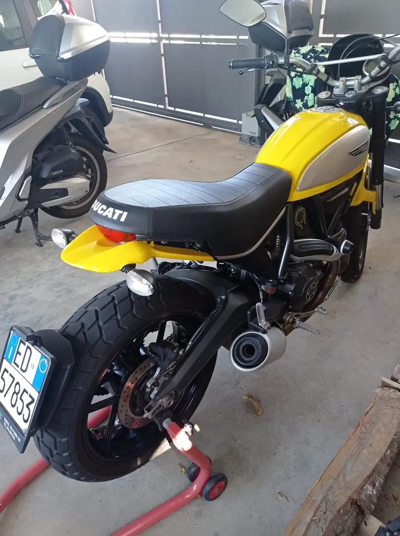 Ducati Scrambler 800 Icon Giallo - 2