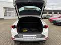 CUPRA Formentor 1.4 l TSI e-Hybrid DSG KAMERA/ NAVI/ LED Weiß - thumbnail 16