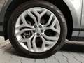 Land Rover Range Rover Evoque D165 R-Dynamic SE Grau - thumbnail 9
