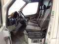 Volkswagen Crafter 50 *MAXI*WERKSTATT+KAMERA+AHK+KLIMA+TÜV Weiß - thumbnail 4