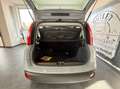 Fiat Panda 1.0 hybrid Easy s&s 70cv Grigio - thumbnail 6