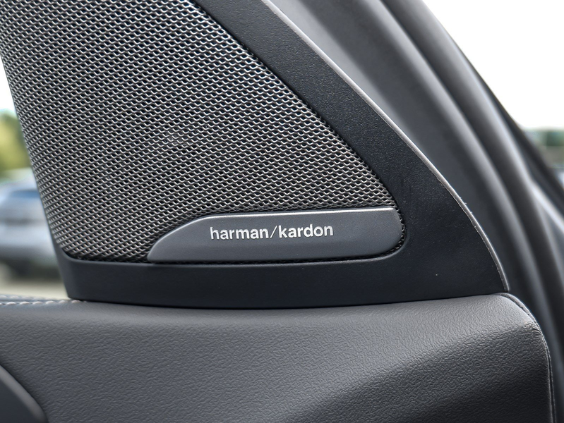 BMW X6 xDrive40d M Sport HUD PANO ACC AHK 360°KAM — photo 14
