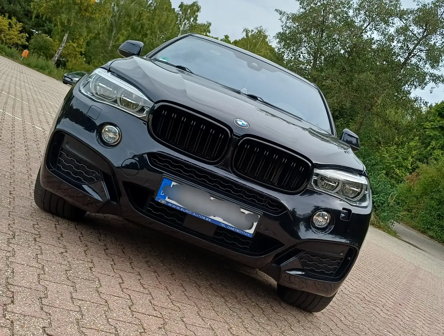 BMW X6 M X6 Diesel xDrive40d M Paket Noir - 1