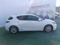 Lexus CT 200h Blanco - thumbnail 6