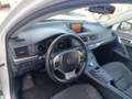 Lexus CT 200h Blanco - thumbnail 11