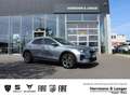 Kia XCeed Platinum 160 SHZ Leder Navi Allwetterbereifung Grau - thumbnail 1