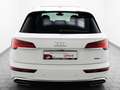 Audi Q5 55 TFSI e qu S line Pano AHK HuD Kamera Weiß - thumbnail 5