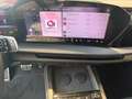 Audi Q7 TDI quattro 220 kW 7-Sitze 2027* Schwarz - thumbnail 12