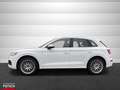 Audi Q5 2.0 TDI quattro S line ACC Matrix Panorama Weiß - thumbnail 7