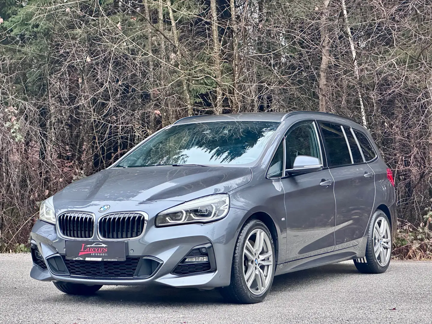 BMW 218 d xDrive M Sport Aut.  1HAND*ALLRAD*ACC*LED*LEDER Grau - 1