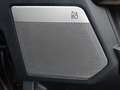 Ford F 150 F-150 3.5 V6 EcoBoost 4x4 Platinum Pano AHK Schwarz - thumbnail 11