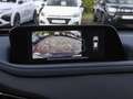 Mazda CX-30 Selection NAVI SHZ PDC KLIMA Rot - thumbnail 17