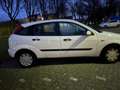 Ford Focus 1.6-16V Ambiente Wit - thumbnail 2