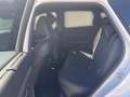 Hyundai TUCSON N Line Mild-Hybrid 2WD 1.6 T-GDI DCT HUD Assis.Pak Weiß - thumbnail 11