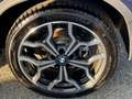 BMW X2 X2 sdrive18d Msport X auto Blu/Azzurro - thumbnail 14