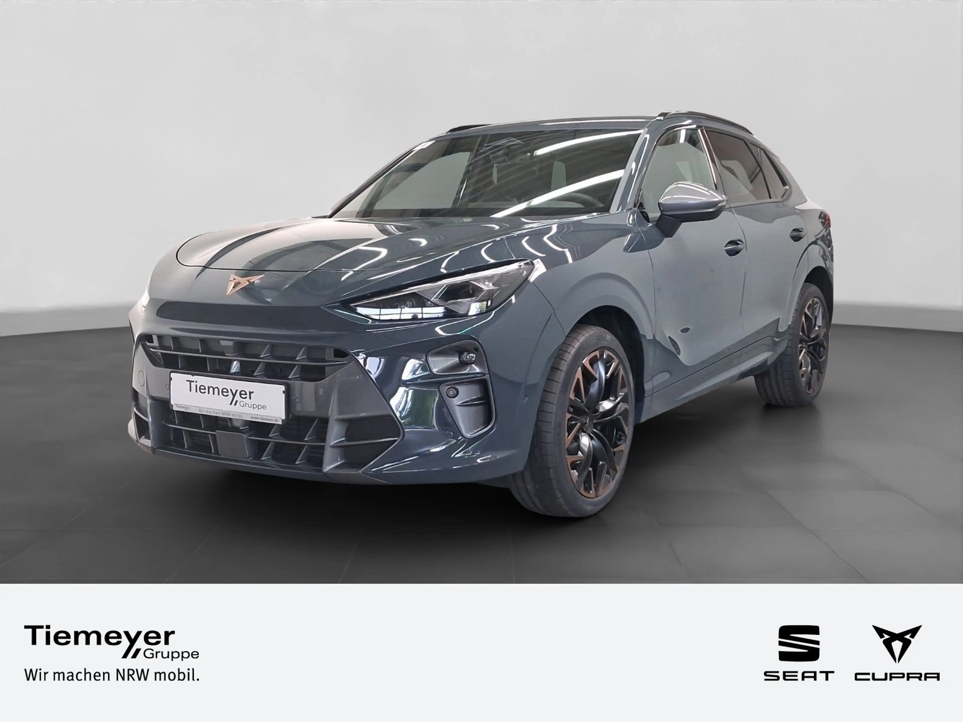 CUPRA Terramar 2.0 TSI DSG VZ 4DRIVE REAR VIEW NAVI Hu