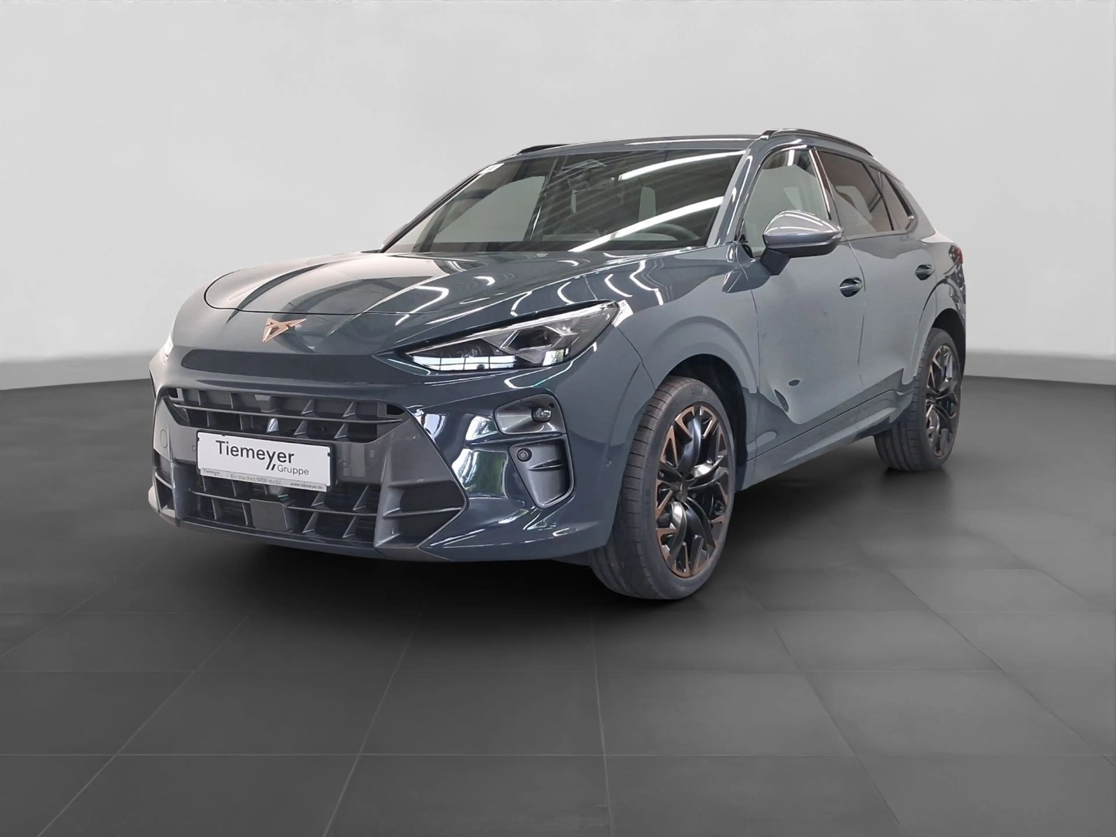 CUPRA Terramar 2.0 TSI DSG VZ 4DRIVE REAR VIEW NAVI Hu — photo 2