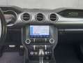 Ford Mustang Convertible 5.0 Ti-VCT V8 Aut. GT Bleu - thumbnail 14