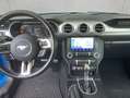 Ford Mustang Convertible 5.0 Ti-VCT V8 Aut. GT Bleu - thumbnail 13