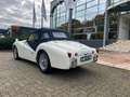 Triumph TR3 Volledig gerestaureerd body-off Wit - thumbnail 3