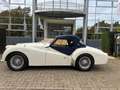Triumph TR3 Volledig gerestaureerd body-off Wit - thumbnail 2