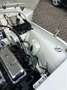 Triumph TR3 Volledig gerestaureerd body-off Wit - thumbnail 13