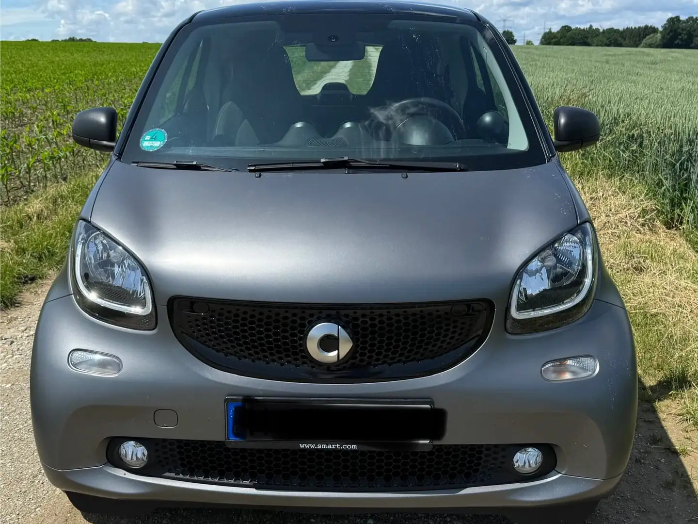 smart forTwo smart fortwo coupe twinamic passion Grau - 2