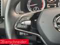 Skoda Karoq 1.5 TSI Clever AB 225EUR AHK NAVI SHZ ACC Grau - thumbnail 38