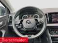 Skoda Karoq 1.5 TSI Clever AB 225EUR AHK NAVI SHZ ACC Grau - thumbnail 12