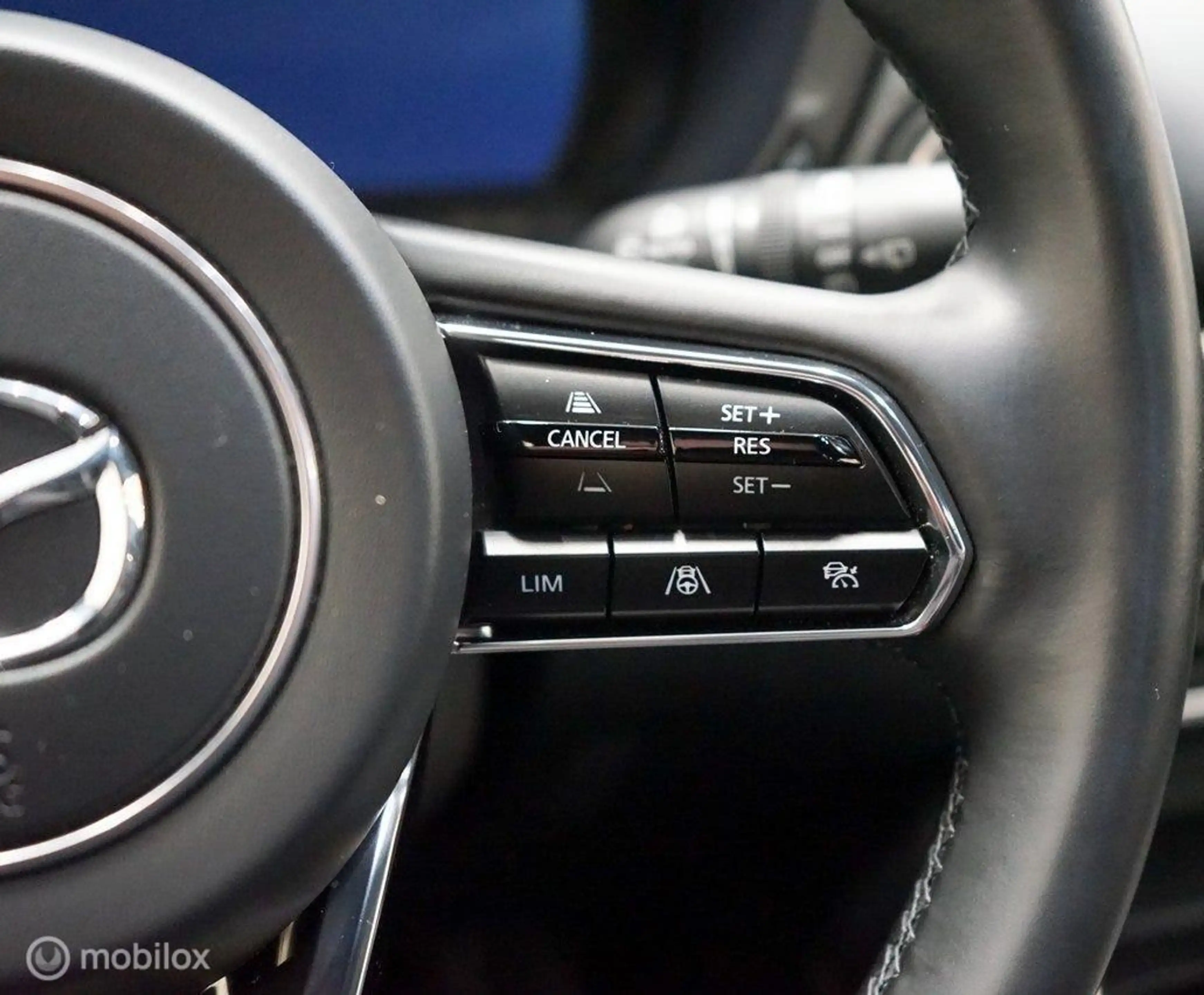 Mazda CX-60 2.5 e-SkyActiv PHEV Homura, trekhaak — photo 14