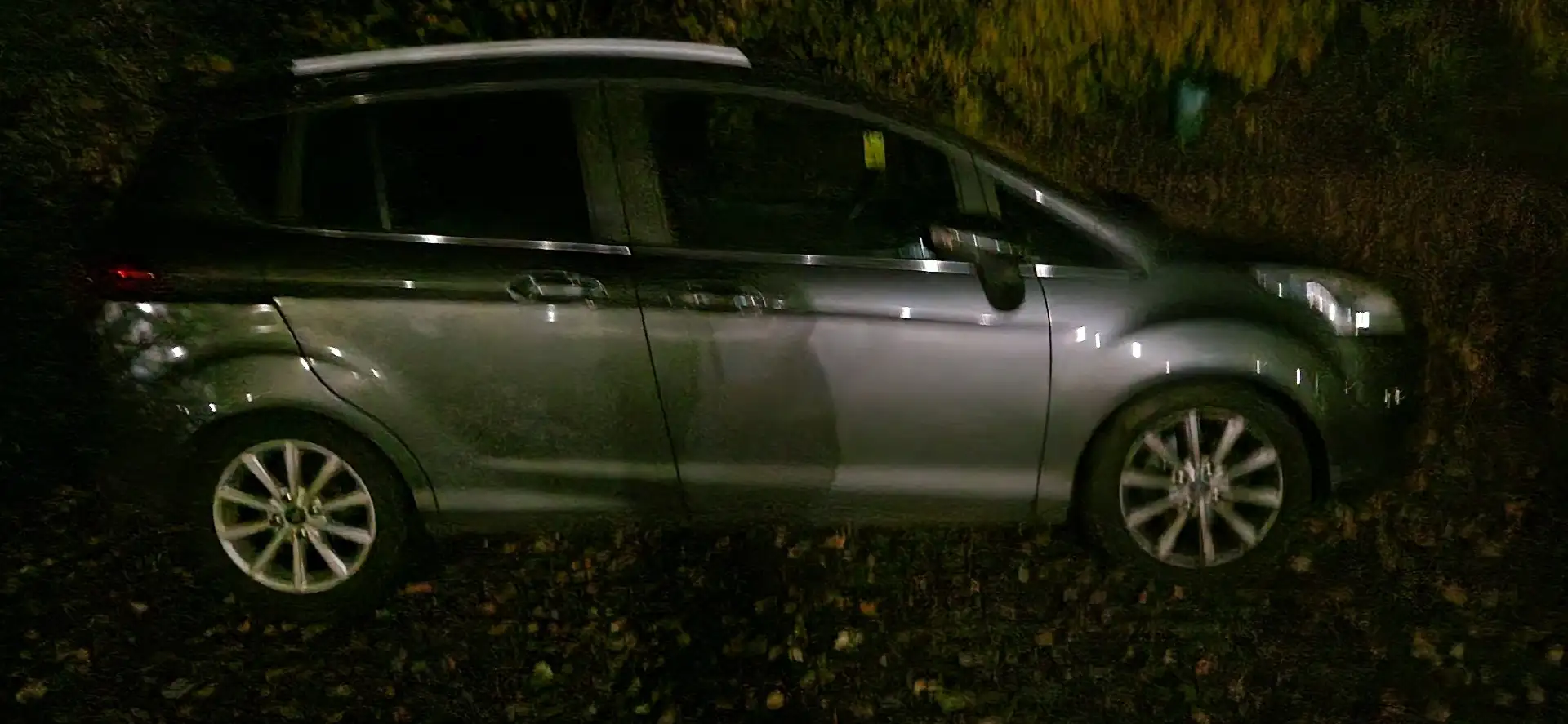 Ford B-Max 1.0 EcoBoost 125 S&S Titanium - 2