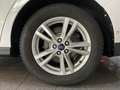 Ford Galaxy 1.5 EB Business 7-Sitzer Navi PDC AHK Weiß - thumbnail 18