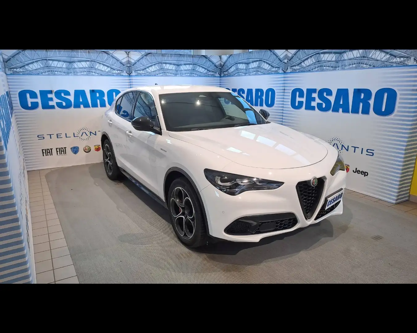 Alfa Romeo Stelvio 2.2 Turbo Veloce Bianco - 1
