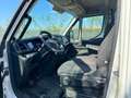 Iveco Daily 60C15 FRIGO - thumbnail 10