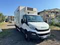 Iveco Daily 60C15 FRIGO - thumbnail 5