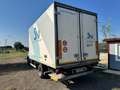 Iveco Daily 60C15 FRIGO - thumbnail 3