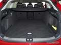 Volkswagen Passat Variant 1.5eTSI Business AHK ACC LED Navi Rot - thumbnail 11