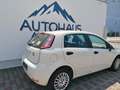Fiat Punto Punto 1,2 69 Easy Easy - thumbnail 3