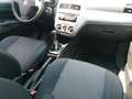 Fiat Punto Punto 1,2 69 Easy Easy - thumbnail 11