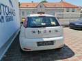Fiat Punto Punto 1,2 69 Easy Easy - thumbnail 4