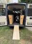 Fiat Ducato 130 H2L2 Wohnmobil Camper Service/TÜV/ZR neu Gris - thumbnail 4