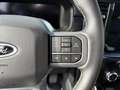 Ford F 150 Supercrew LARIAT Black Package V8 5.0L FLEXFUEL Gris - thumbnail 12