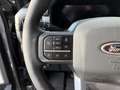 Ford F 150 Supercrew LARIAT Black Package V8 5.0L FLEXFUEL Gris - thumbnail 11