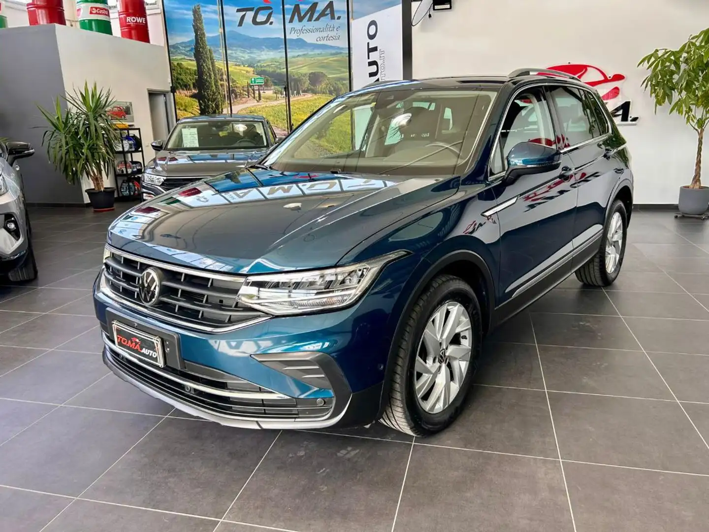 Volkswagen Tiguan 2.0 TDI 150 CV SCR DSG 4MOTION Life Bleu - 1
